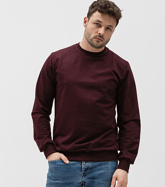 Однотонний чоловічий світшот