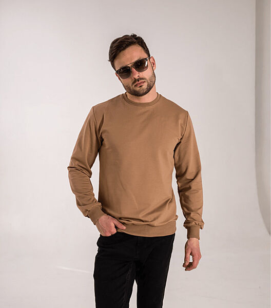 Однотонний чоловічий світшот