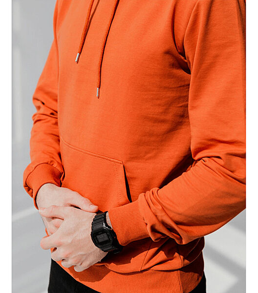 Базове однотоне чоловіче худі