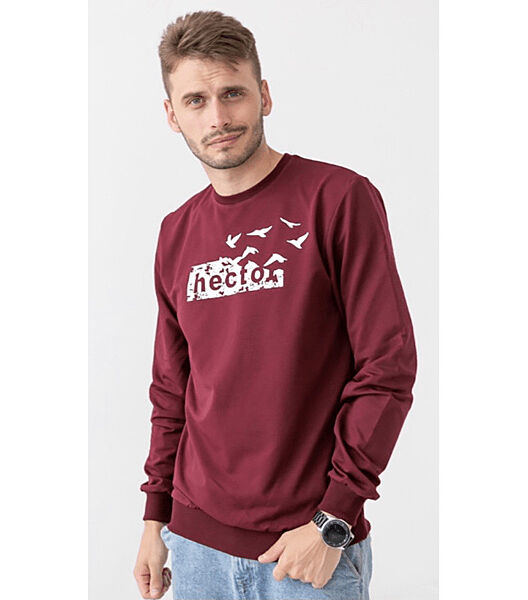 Чоловічий світшот HECTOR