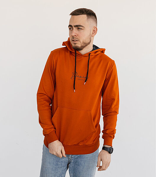 Худі з принтом DENIM