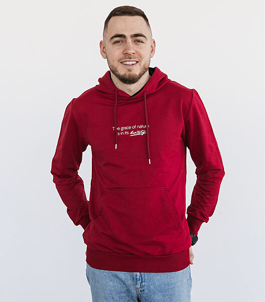 Чоловіче худі BEAUTY