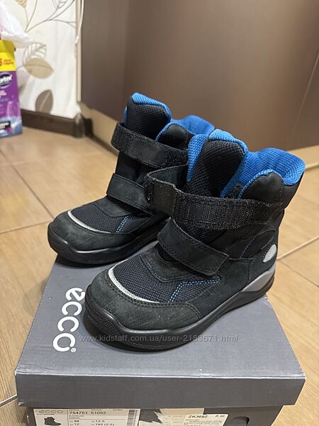 Чоботи Ecco